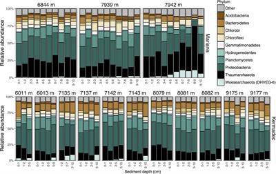 Microbial Community Diversity Within Sediments from Two Geographically Separated Hadal Trenches